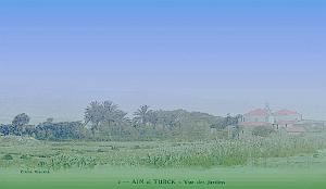 CO ha- 297- Ain el turck 